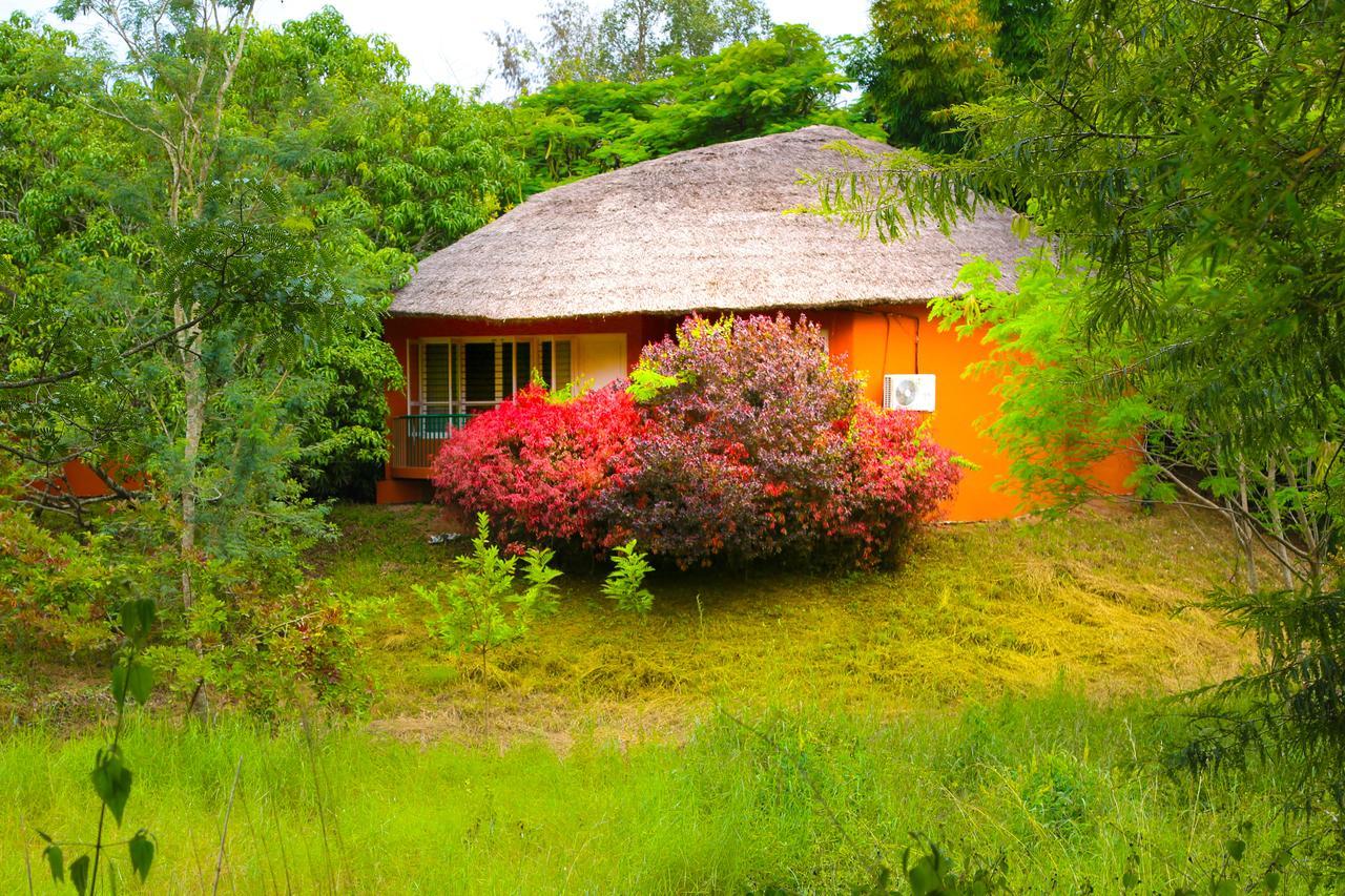 Kings Sanctuary Nagarhole & Kabini Hunsur Exterior foto
